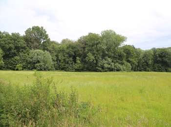 Trail On foot Lessines - Arbre de la Liberté walk - Photo