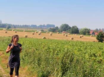 Trail On foot Tournai - 'Mont au Gris' walk - Photo