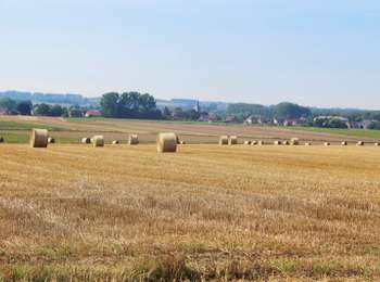 Trail On foot Silly - Hamlets and highlights of  Bassily-Hellebecq - Photo