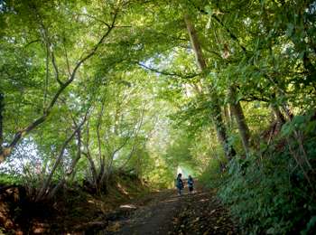 Trail On foot Tournai - Along pathways and dirt tracks - Photo