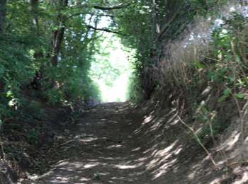 Trail On foot Tournai - Croix de la Grise monument walk - Photo