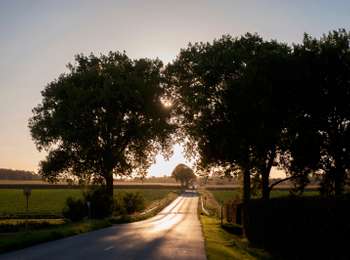 Trail On foot Tournai - Farmhouses walk - Photo