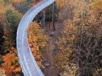 Trail On foot Péruwelz - Avenue de l'Hermitage circuit - Photo