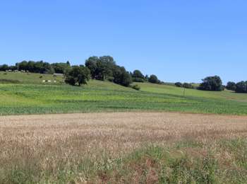 Trail On foot Silly - Princes’ walk - Photo