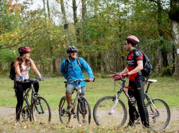 Trail Mountain bike Péruwelz - Circuit of Bon-Secours - Photo