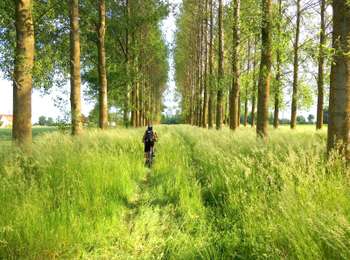 Trail Mountain bike Rumes - Circuit of Déroderie - Photo