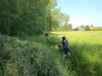 Trail Mountain bike Antoing - Circuit of the Laplaigne marshland - Photo