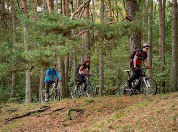Trail Mountain bike Belœil - Forest circuit of Beloeil - Photo
