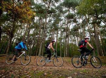 Trail Mountain bike Belœil - Forest circuit of Beloeil - Photo