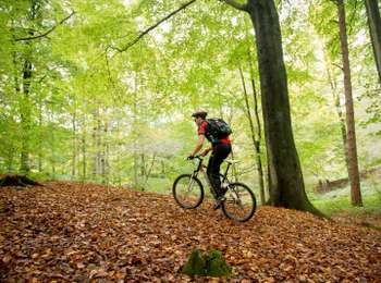 Trail Mountain bike Silly - Sille pathway - Photo