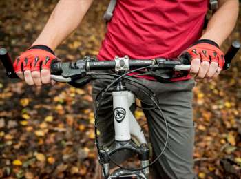 Trail Mountain bike Tournai - On the northern slope of Mont-Saint-Aubert - Photo