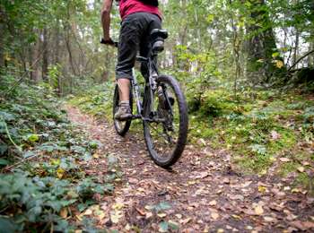 Trail Mountain bike Tournai - On the western slope of Mont-Saint-Aubert - Photo