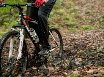 Trail Mountain bike Bernissart - In the footsteps of Diamant Noir - Photo