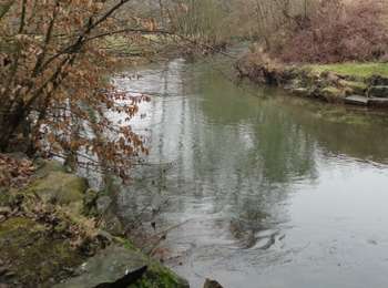 Tour Zu Fuß Ham-sur-Heure-Nalinnes - Promenade de Jamioulx - Photo