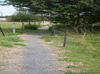 Trail On foot Le Rœulx - Le Roeulx n°2: Les longues haies - Photo