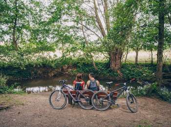 Trail On foot Aiseau-Presles - Walk in Aiseau - Photo