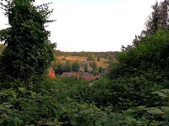 Trail On foot Aiseau-Presles - Walk in Presles - Photo