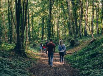 Trail On foot Charleroi - Walking tour in Heigne Forest - Photo