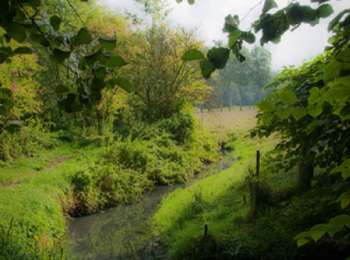 Trail On foot Geer - Promenade du Geer - Photo