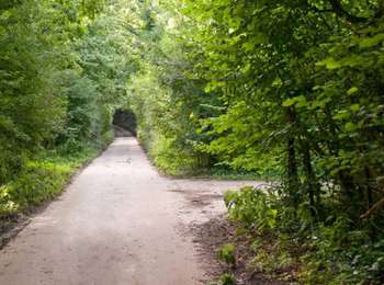 Trail On foot Berloz - La Kulterkêne - Photo