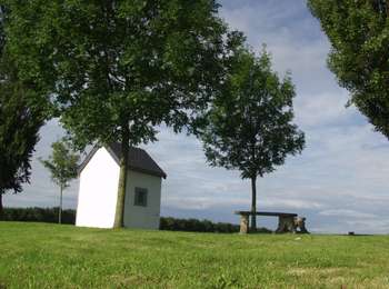 Trail On foot Héron - Promenade de la Dîme - Photo