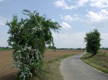Trail On foot Héron - Promenade de Marsinne à Wanhériffe - Photo