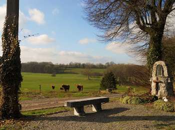 Trail On foot Anthisnes - Anthisnes - Boucle de la Bégasse - Photo