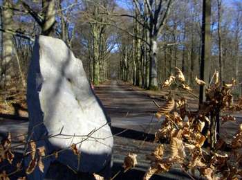 Trail On foot Anthisnes - Anthisnes - Boucle de Tolumont - Photo