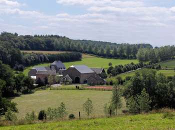 Trail On foot Ouffet - Ouffet - Balade des Loups - Photo