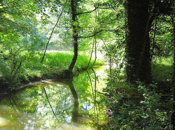 Percorso Cavallo Ouffet - Ouffet - Balade du Neblon - Photo