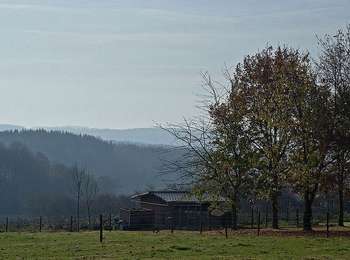 Percorso Cavallo Ouffet - Ouffet - Balade de Raou - Photo