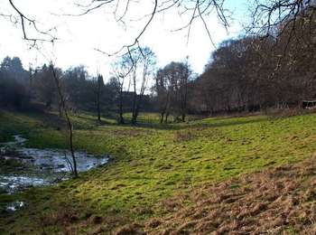 Trail On foot Anthisnes - Anthisnes - Boucle du Chantoir - Photo