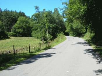 Percorso Mountainbike Anthisnes - Anthisnes - Circuit 5 - Photo