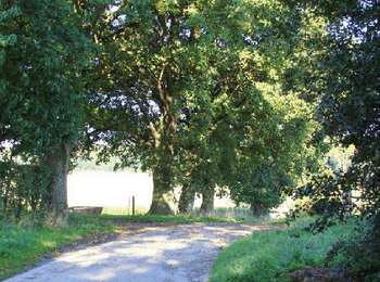 Percorso Cavallo Ouffet - Ouffet - Balade de l'Herberin - Photo