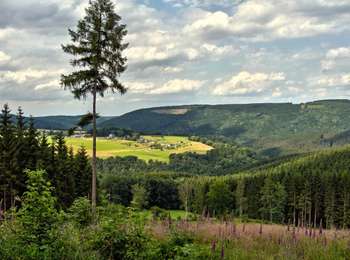 Percorso Mountainbike Stoumont - Stoumont - Promenade de Bru - Photo