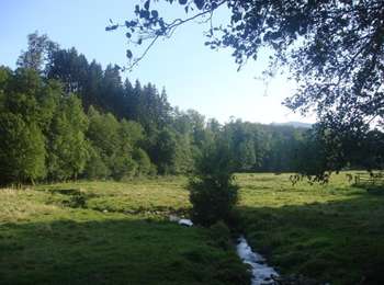 Excursión Bici de montaña Stoumont - Stoumont-La Gleize - Tour de la Vallée du Roannay - Photo