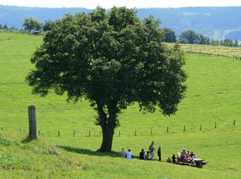 Trail On foot Stoumont - Stoumont - Promenade de la Corniche - Photo
