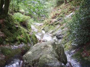 Randonnée V.T.T. Aywaille - Aywaille P37 - Sedoz-Nonceveux-Les Riveux- La Porallée-Vallon du Ninglinspo-Sedoz - Photo