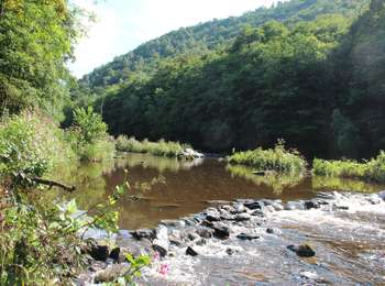 Randonnée V.T.T. Aywaille - Aywaille P38 - Sedoz-Vallon du Ninglinspo- La Porallée-Ville au Bois- Vallon de la Chefna-Fonds de Quarreux-Sedoz - Photo