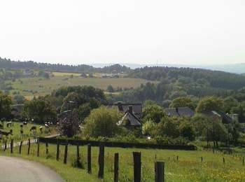 Tocht Mountainbike Ferrières - Circuit 7 - Photo