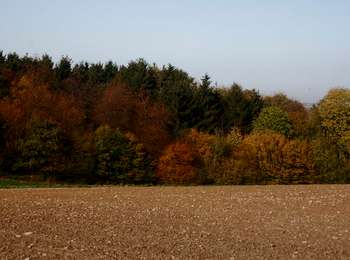 Percorso Bici ibrida Anthisnes - Anthisnes - Circuit 4 - Photo