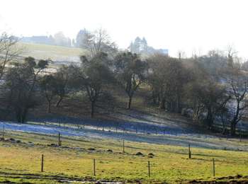 Excursión Bicicleta híbrida Anthisnes - Anthisnes - Circuit 6 - Photo
