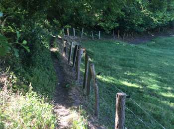 Trail On foot Ferrières - Ferrières - 3- Circuit des Sources - Photo