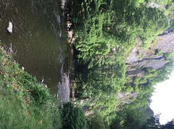 Percorso Cavallo Ferrières - Ferrières - Promenade des Ecureuils - Photo