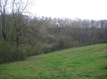 Trail On foot Dison - Dison: promenade Chantal Noël - Photo