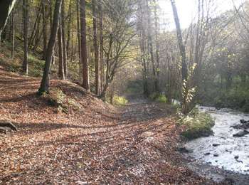 Trail On foot Dison - Dison: Promenade Renkin - Photo