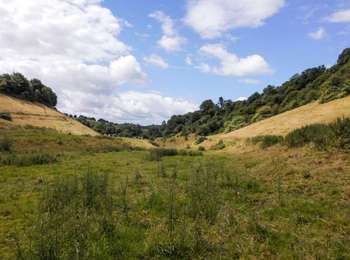 Trail On foot Dison - Dison: promenade Georges Zeyen - Photo