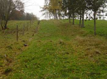 Trail On foot Chaudfontaine - La Brouck - Photo