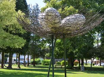 Trail On foot Chaudfontaine - Chaudfontaine - Sources 