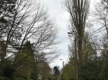 Trail On foot Chaudfontaine - Parcs d'Embourg - Photo